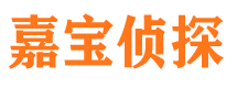 岢岚侦探公司